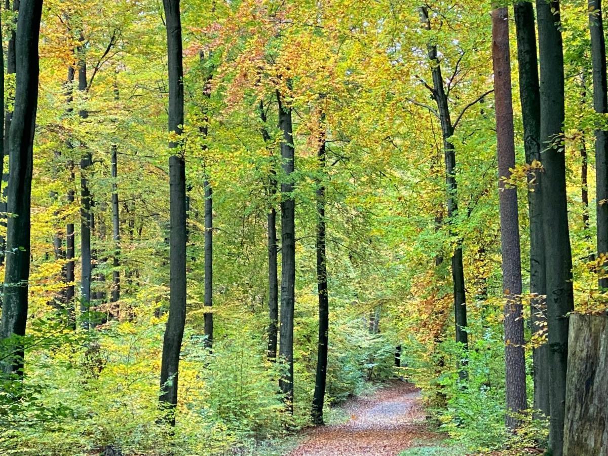 Hövelhof Wilsmann Apartmentvermietung מראה חיצוני תמונה