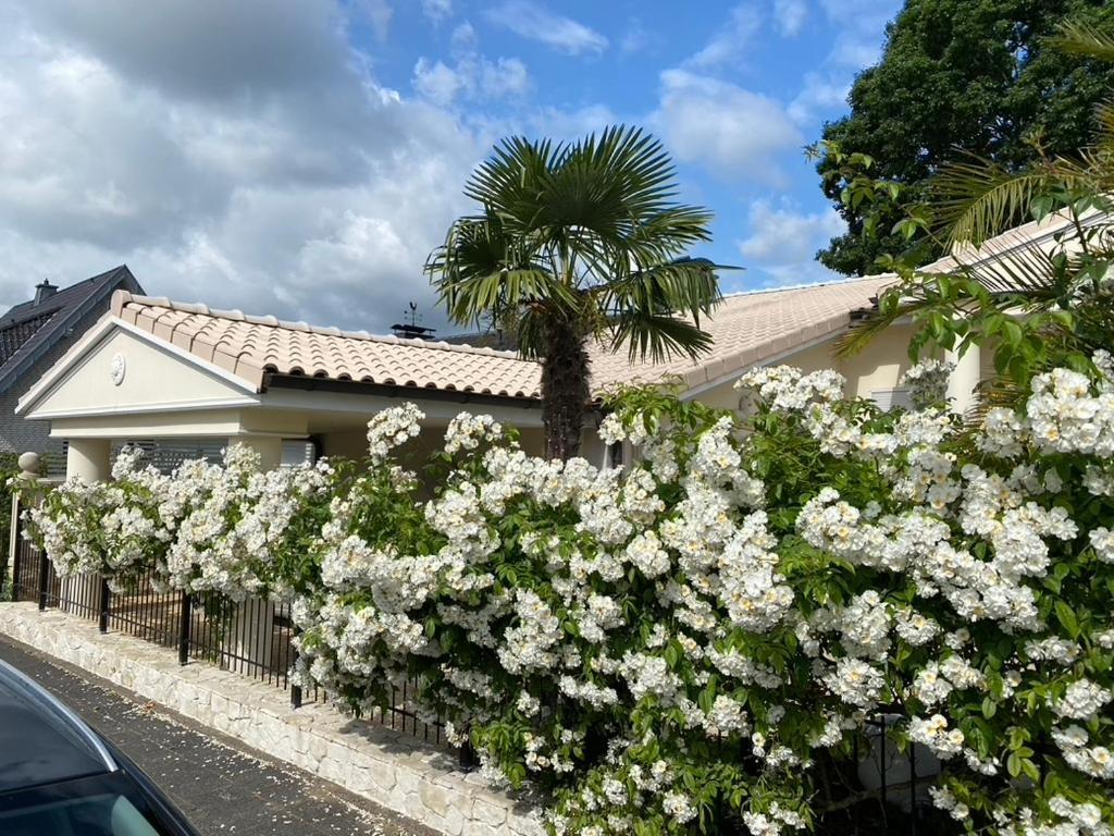 Hövelhof Wilsmann Apartmentvermietung מראה חיצוני תמונה