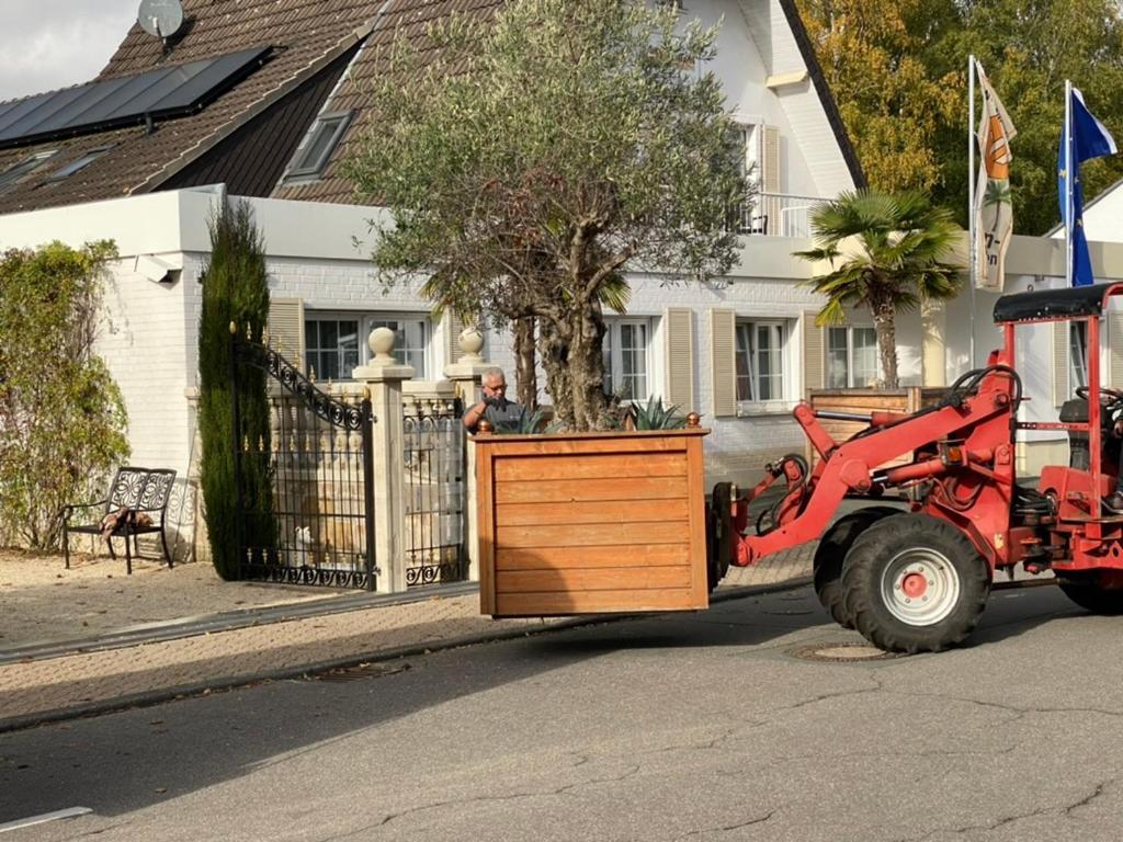 Hövelhof Wilsmann Apartmentvermietung מראה חיצוני תמונה