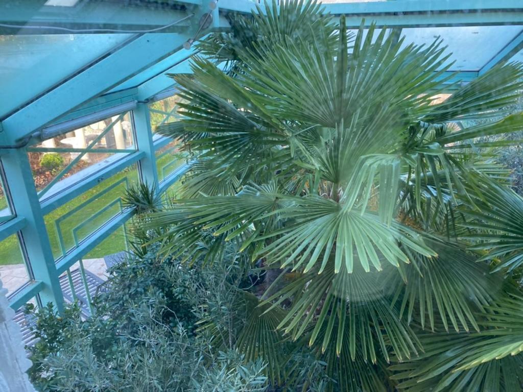 Hövelhof Wilsmann Apartmentvermietung מראה חיצוני תמונה