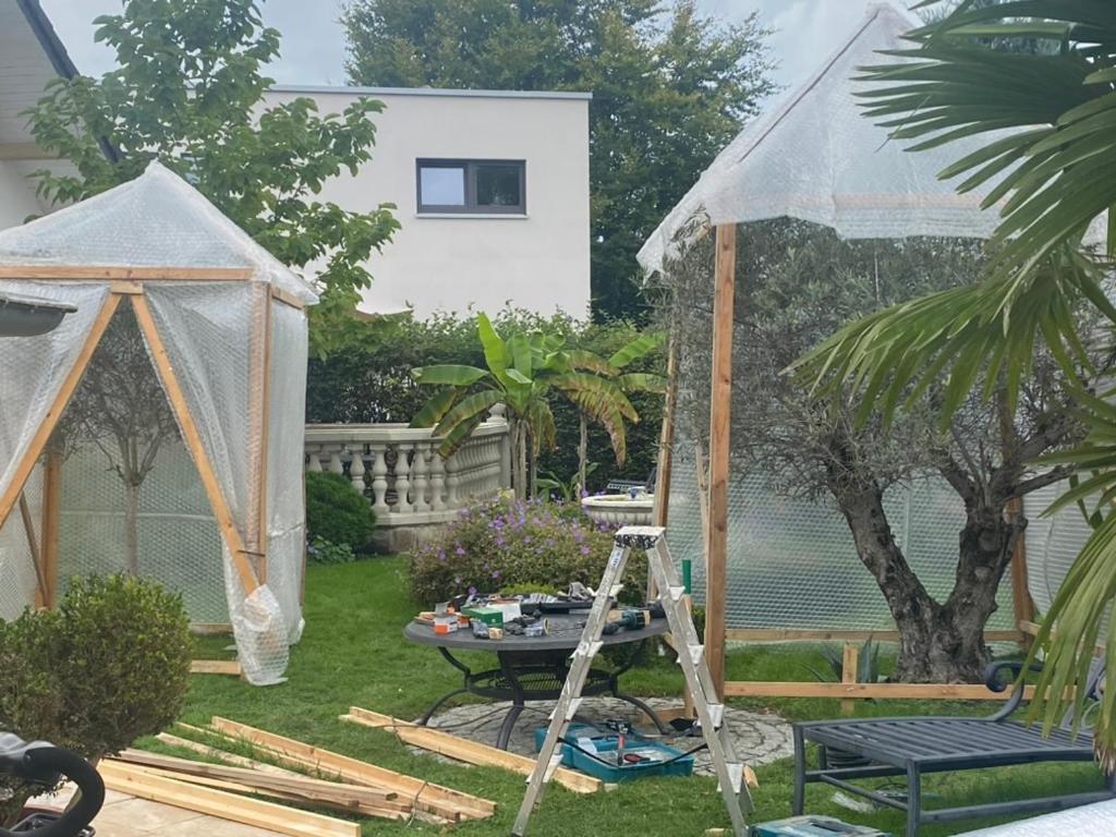 Hövelhof Wilsmann Apartmentvermietung מראה חיצוני תמונה
